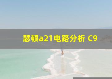 瑟顿a21电路分析 C9